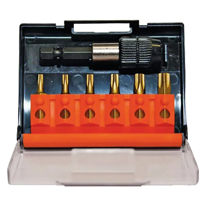 Rechtstreeks Van De Fabrikant PORTAINSERTO CON INSERTI TORX 7 pz