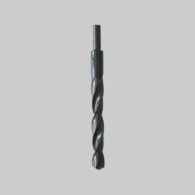 Aanbieding PUNTA ELICOIDALE ‘RULLATA‘ CODOLO RIDOTTO. Modello PUNTA ELICOIDALE ‘RULLATA‘ CODOLO RIDOTTO 20 mm