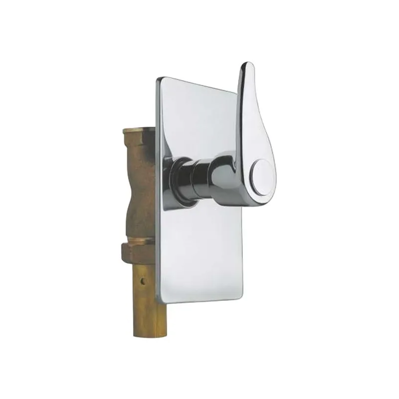 Nu Kopen Passo Rapido per WC Incasso Manuale 1, Cromo