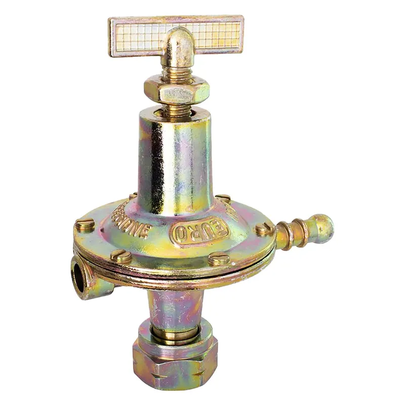 REGOLATORE GPL AD ALTA PRESSIONE 8 Kg/h - pz. 1 Koop Vandaag