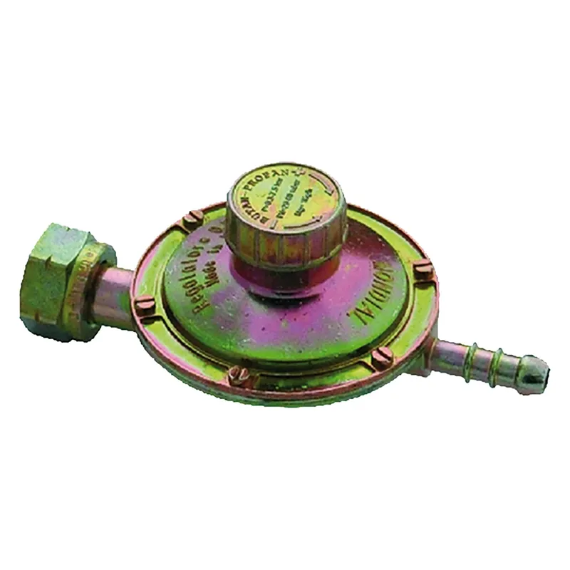 REGOLATORE GPL ORIZZONTALE BASSA PRESSIONE 1 Kg/h Hoge Kwaliteit