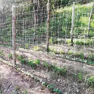 RETE RAMPICANTE IDEAL STAR. Modello RETE RAMPICANTE IDEAL STAR 2x100 mt - colore bianco Laatste Versie