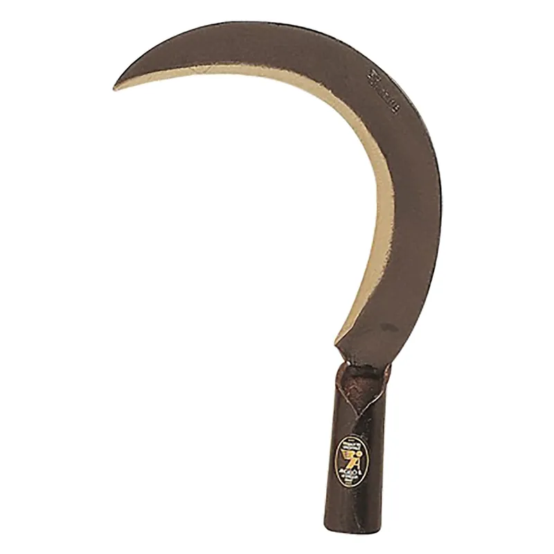 Merkproduct RONCOLA ‘SCANSANO‘ cm 26