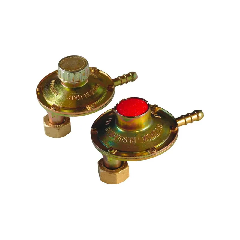 Weekendaanbieding Regolatore Gas Bassa Pressione Attacco Verticale 20-60 mbar