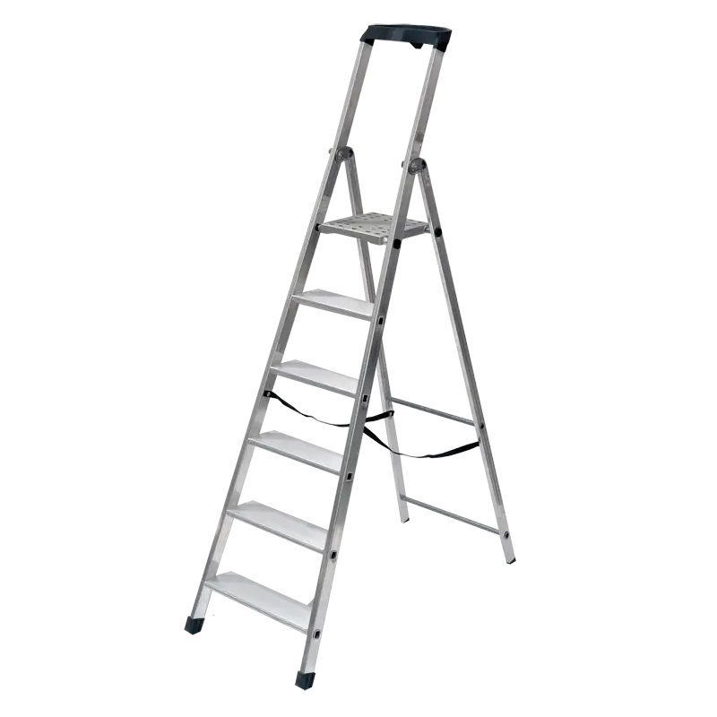 Beperkt Aanbod SCALA DOMESTICA PROFESSIONALE ‘PIU‘ SU‘