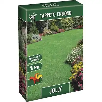 Beste Prijs SEME PRATO JOLLY
