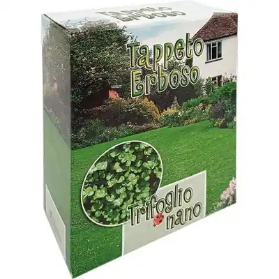 Express Levering SEME PRATO TRIFOGLIO REPENS NANO. Modello GR 500