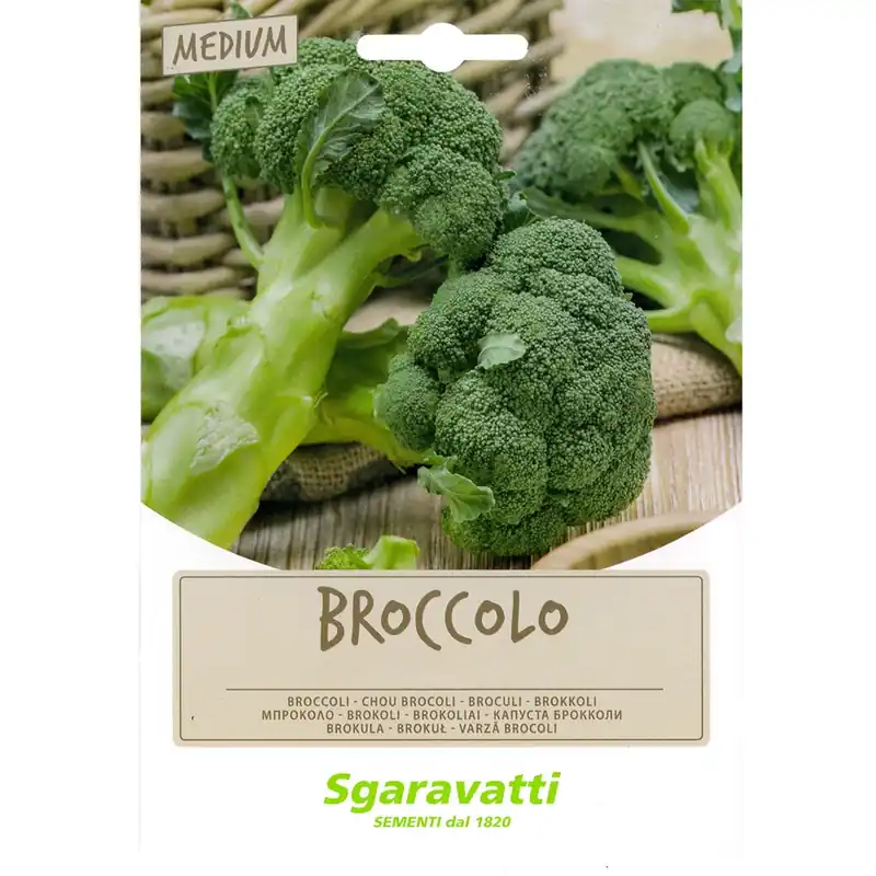 Aanbieding SEMI PER FAVE broccoletto aprilatico - gr 100. Modello broccoletto aprilatico - gr 100
