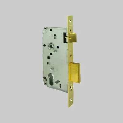Beperkt Aanbod SERRATURA DA INFILARE A CILINDRO PROFILO EUROPEO ART. 5C611 CISA. Modello SERRATURA DA INFILARE A CILINDRO PROFILO EUROPEO ART. 5C611 CISA E50