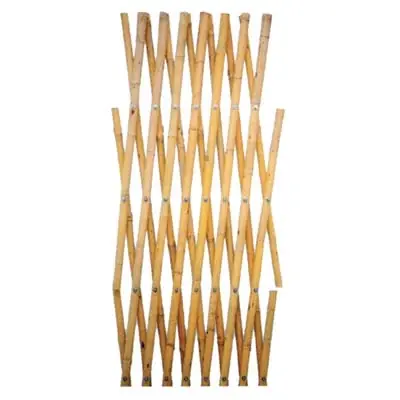 TRALICCIO CANNA BAMBOO STARS. Modello MM 16/18 CM 90X180 Snelle Levering