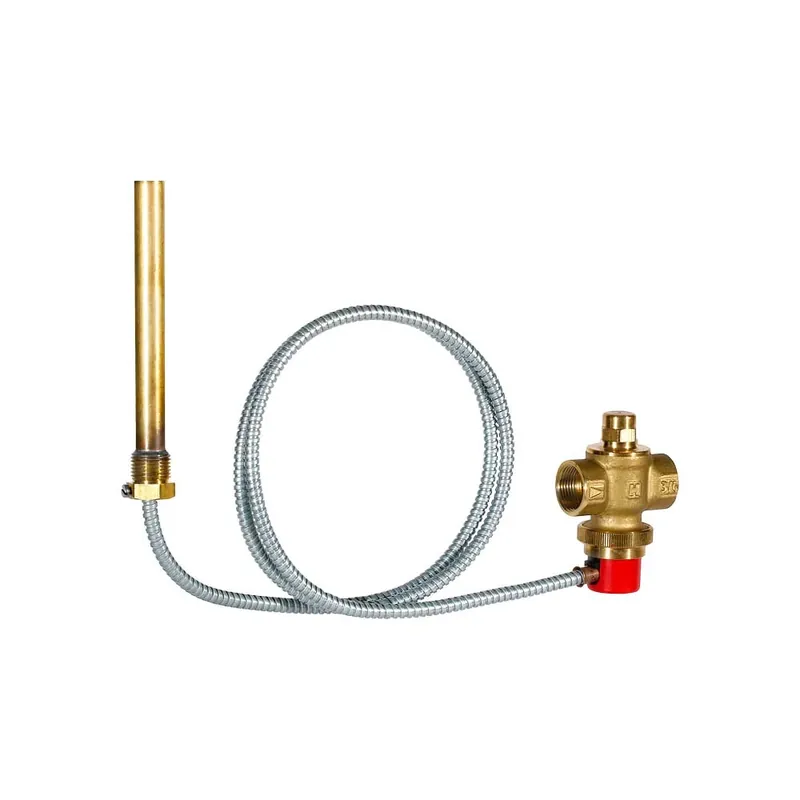 Must-Have Valvola di Sicurezza TS131 Capillare 1.3m Attacco 3/4