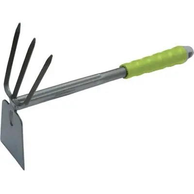 Shop Nu ZAPPETTA QUADRO TRIDENTE GARDEN STARS