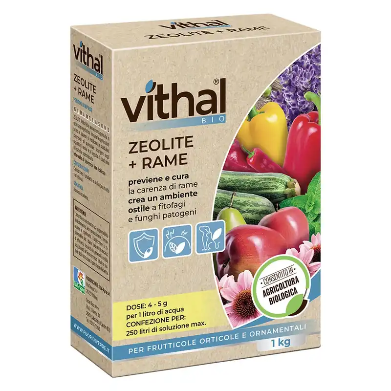 Favoriet ZEOLITE CON RAME POLVERE MICRONIZZATA Kg.1