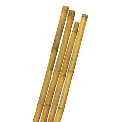 TUTORE CANNA BAMBOO STARS. Modello MM MAX 28 H.CM 240 Meest Verkocht