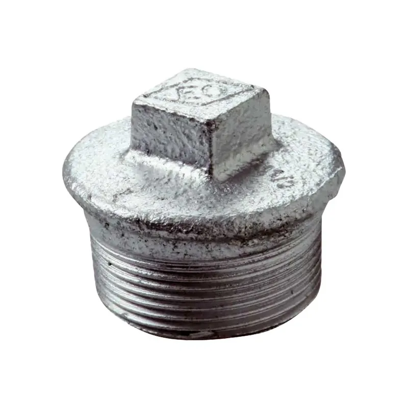 Beste Prijs Tappo Maschio in Ghisa Zincata 2 1/2"