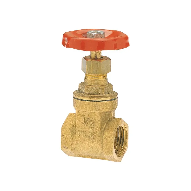 Alleen Vandaag Saracinesca Ottone Passaggio Totale PN20 2 F/F