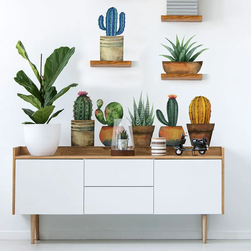 Rechtstreeks Van De Fabrikant Sinfonia di cactus