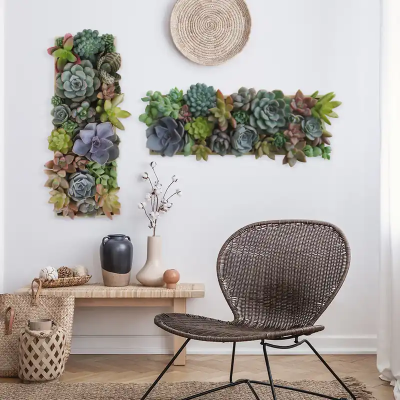 Vertical cactus Direct Verzonden