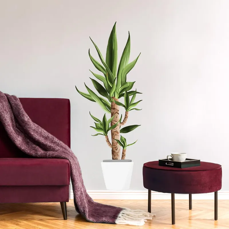 Yucca Gratis Retour