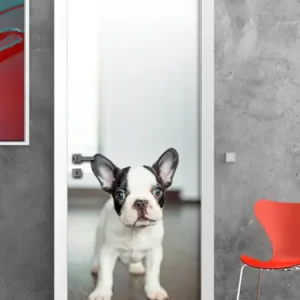 Populair Porta Bulldog francese - 60 cm / 200 cm